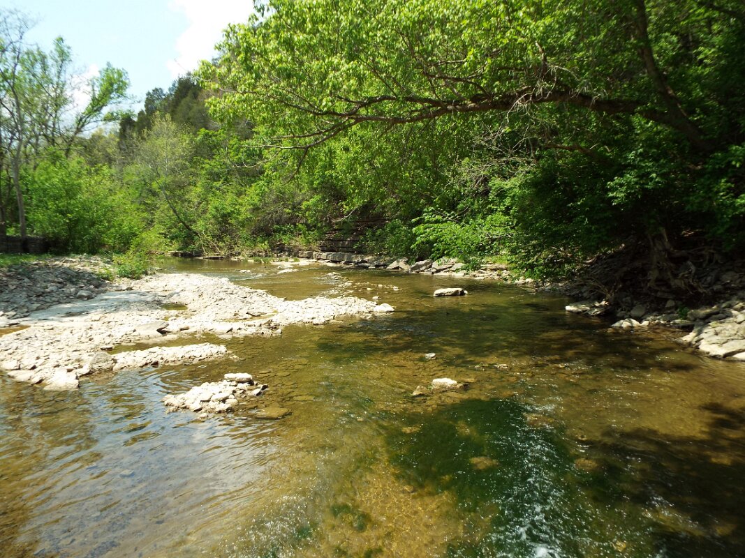 Providence_Church_Lower_Howards_Cr_3