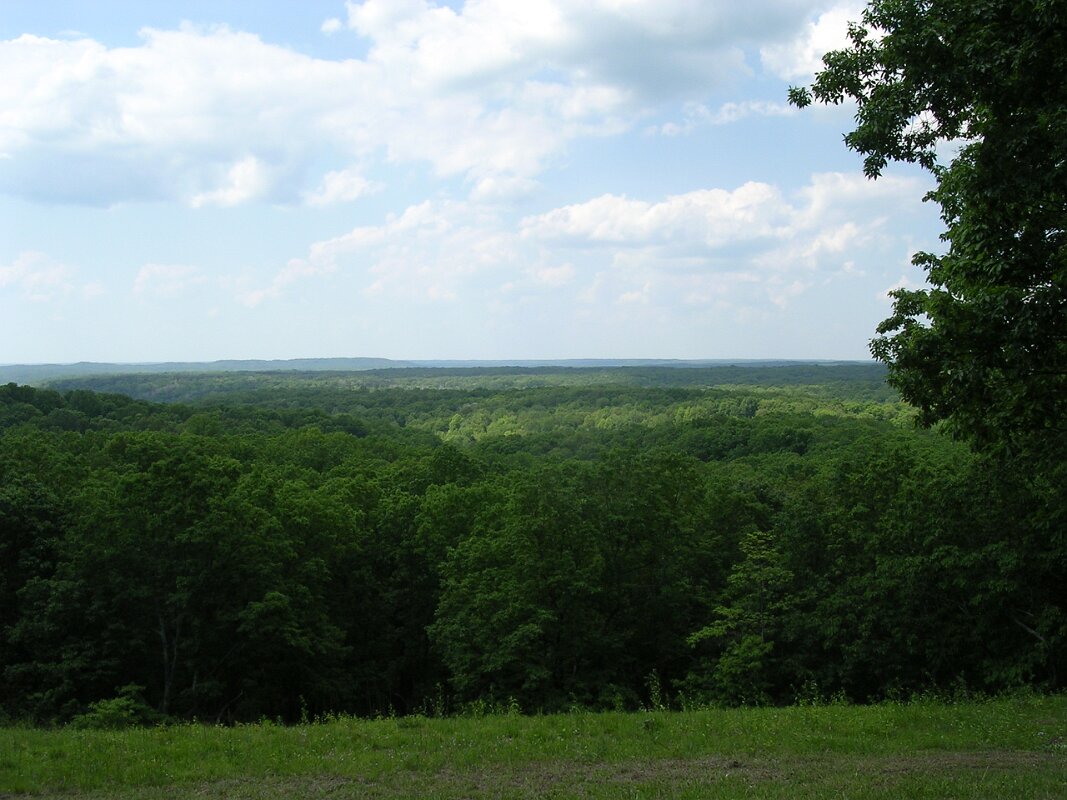 Brown County Indiana State Park Vistas 04