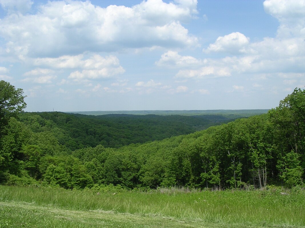 Brown County Indiana State Park Vistas 06