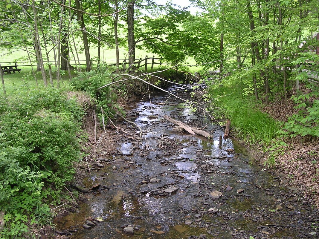 Strahl Lake Brown County Indiana State Park 04
