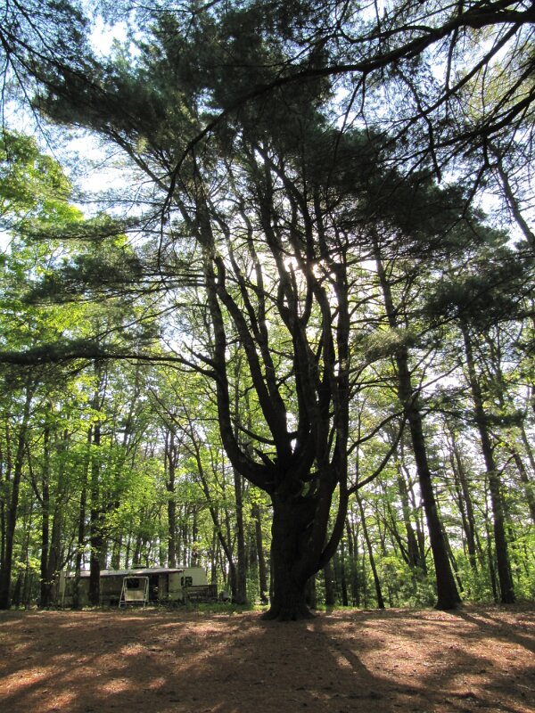 cape_cod_camp_resort_10