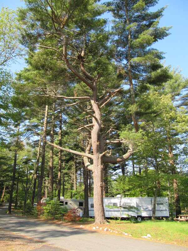 cape_cod_camp_resort_11