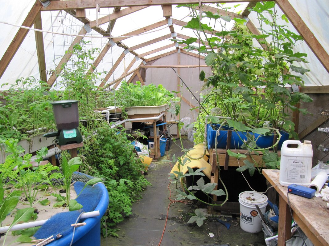 Carole_Claude_Adams_Hydroponics