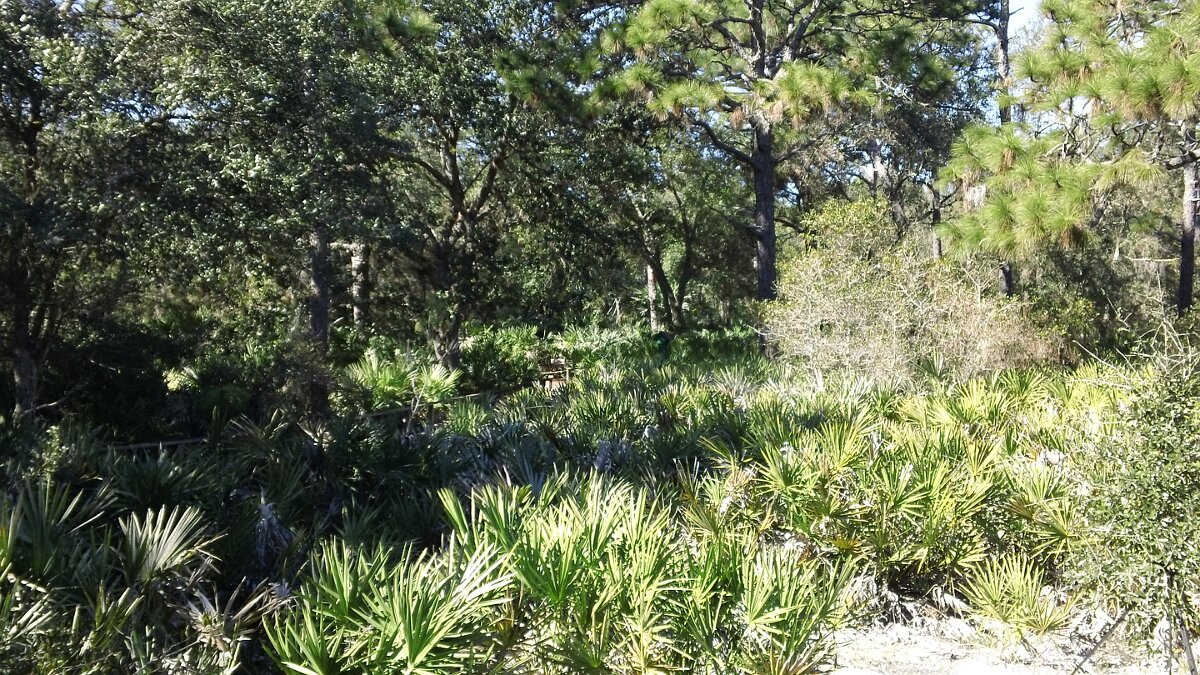 Erma_Nixon_Park_Brevard_Co_FL_02