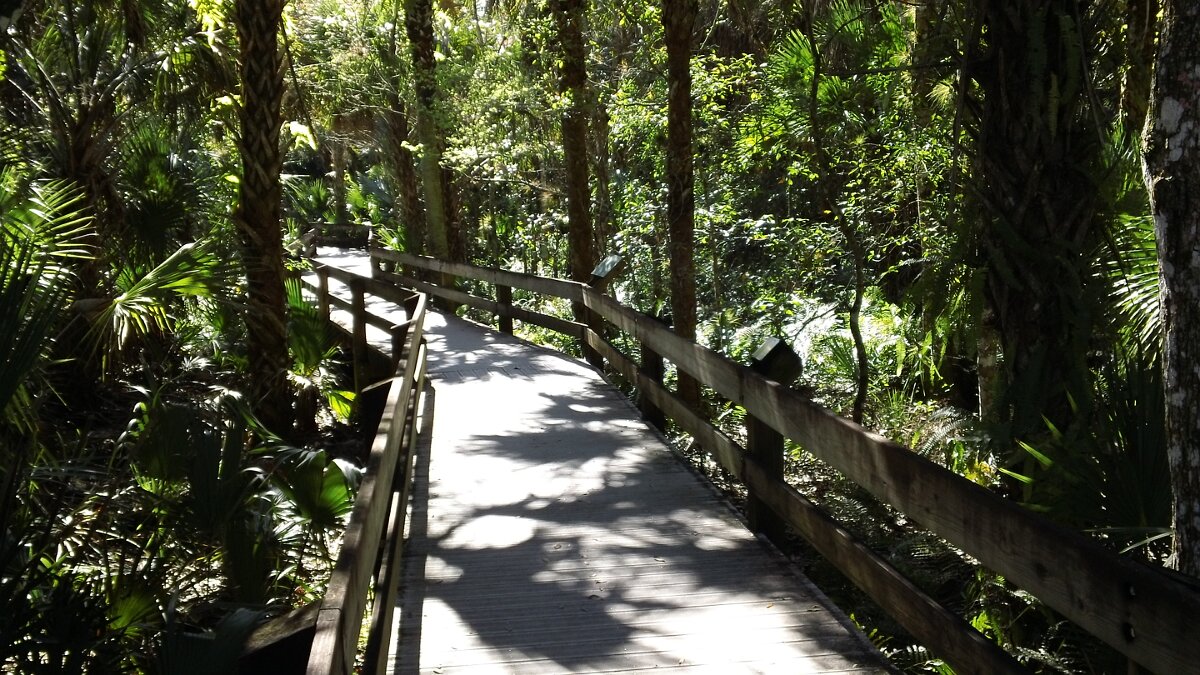 Erma_Nixon_Park_Brevard_Co_FL_06