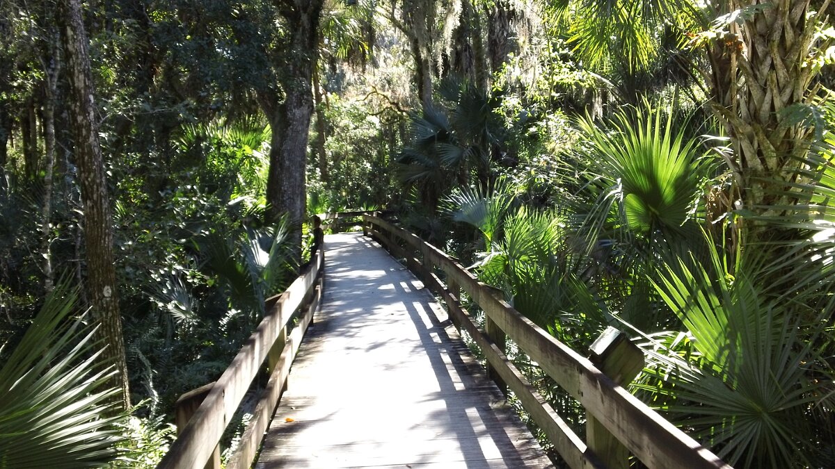 Erma_Nixon_Park_Brevard_Co_FL_07