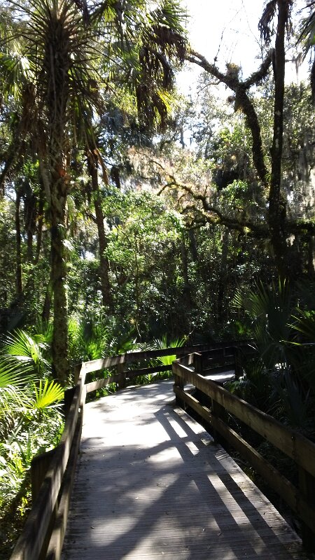 Erma_Nixon_Park_Brevard_Co_FL_08