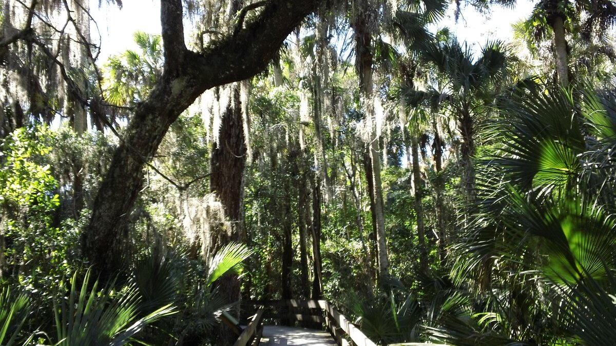 Erma_Nixon_Park_Brevard_Co_FL_09