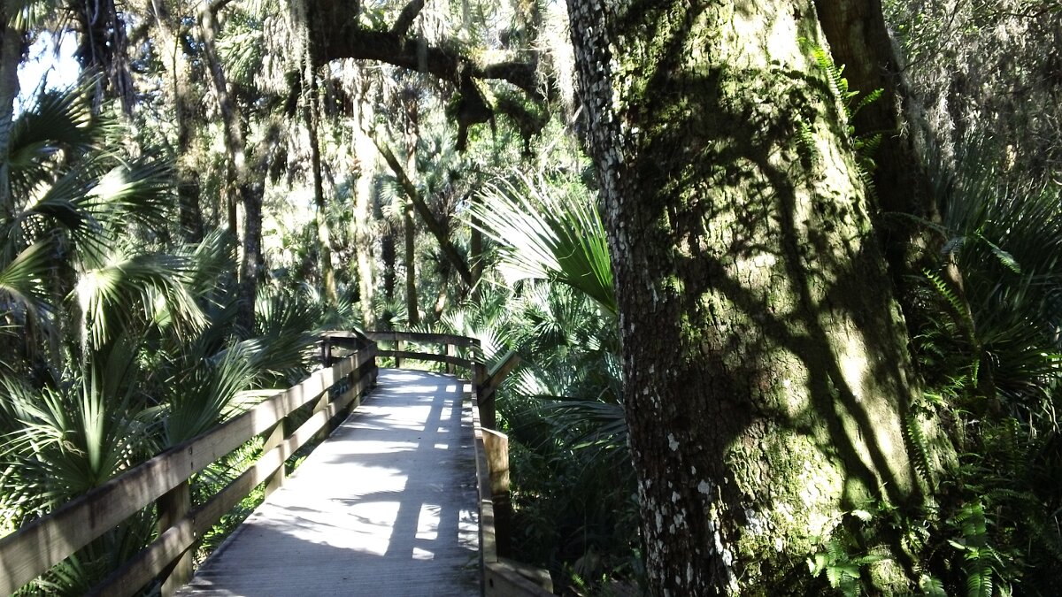 Erma_Nixon_Park_Brevard_Co_FL_11