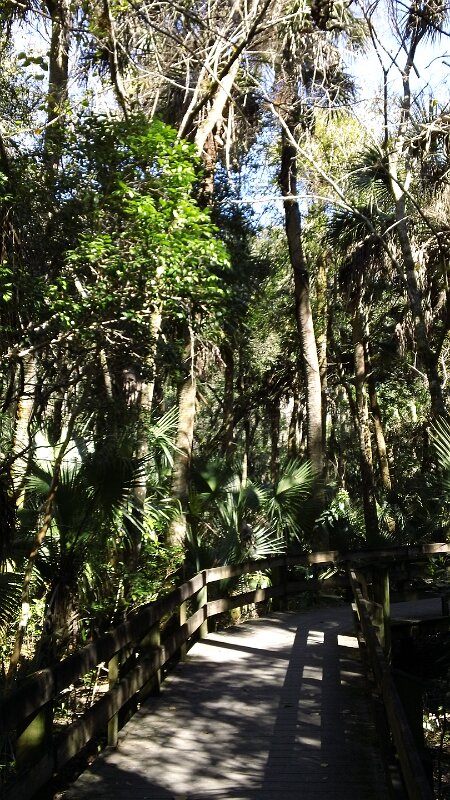 Erma_Nixon_Park_Brevard_Co_FL_14