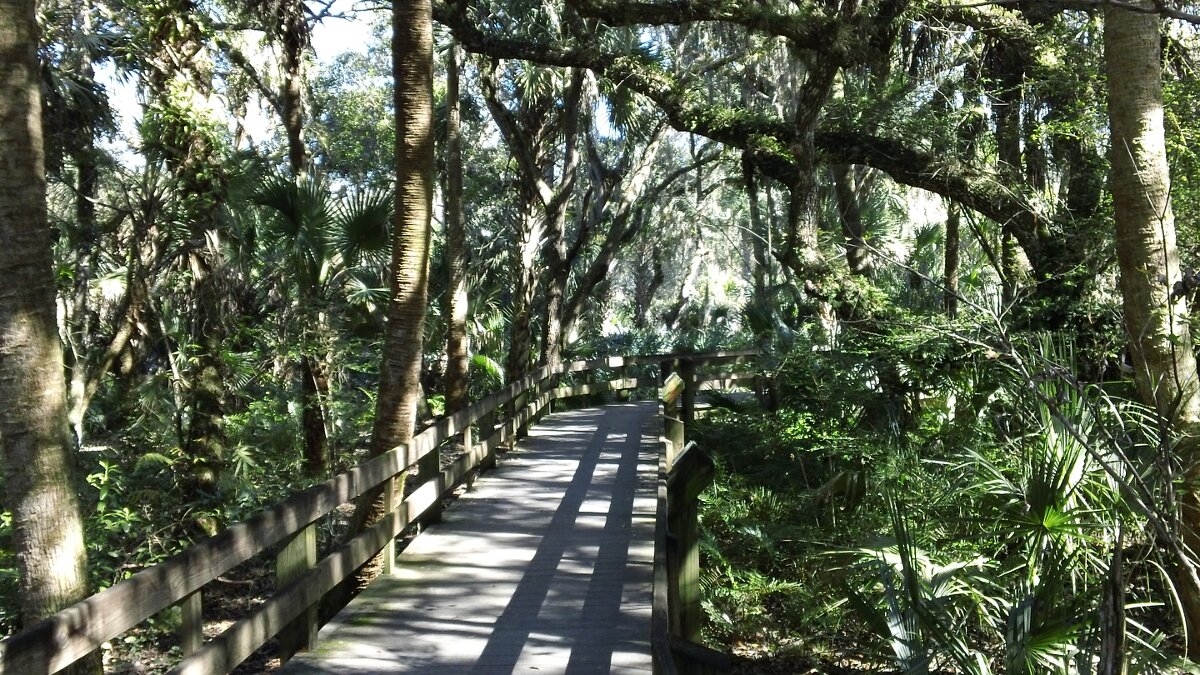 Erma_Nixon_Park_Brevard_Co_FL_15