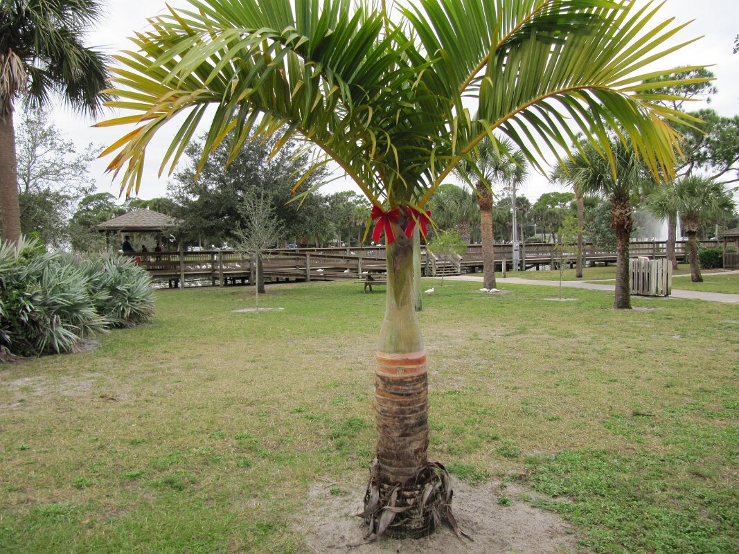 Gleason_Park_Indian_Harbor_07