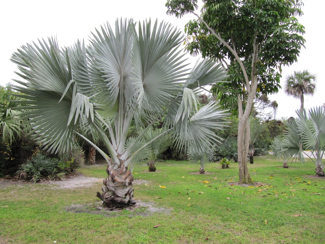 Gleason_Park_Indian_Harbor_13