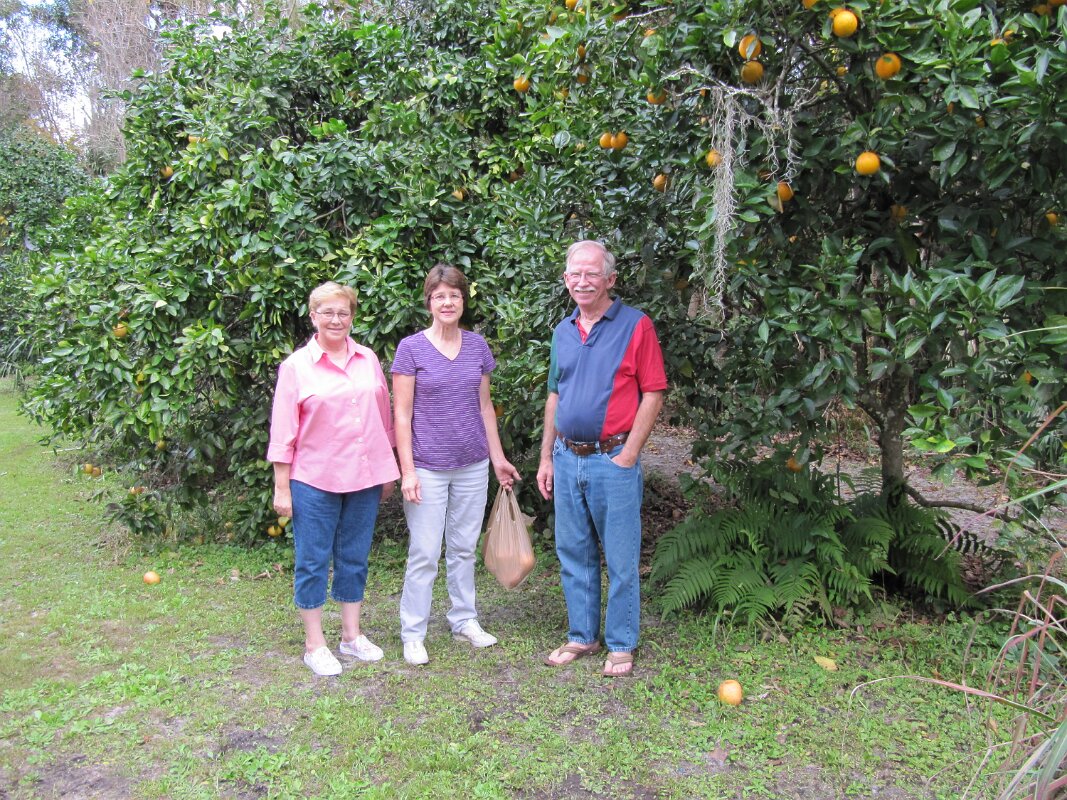 Kathy_Carole_Claude_Adams_Backyard