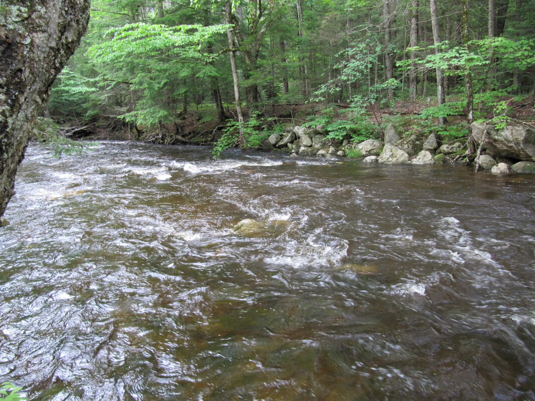 Meadow-Brook-Fransted-Campground-3