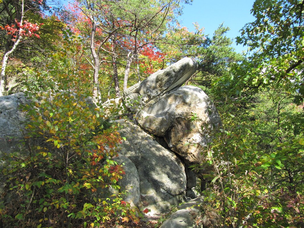 Pinnacle_Overlook-Cumberland-Gap-National-Park--10