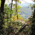 Pinnacle_Overlook-Cumberland-Gap-National-Park--09