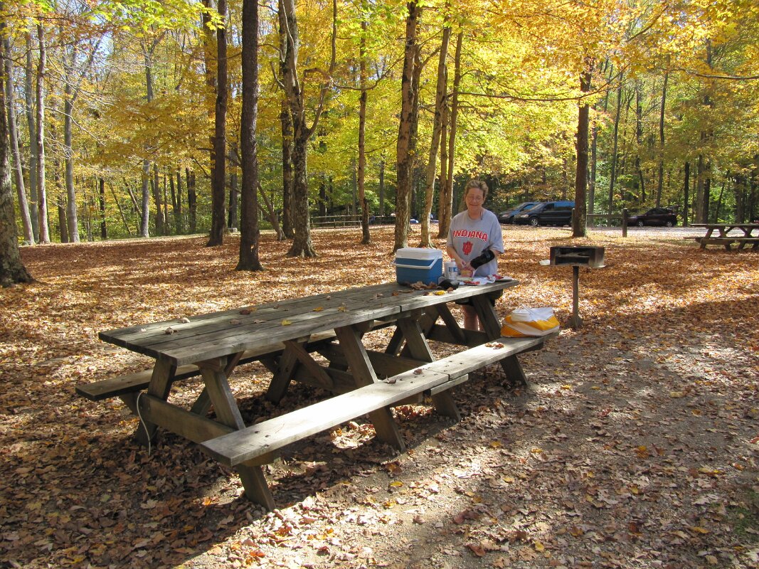 turkey_run_state_park_01