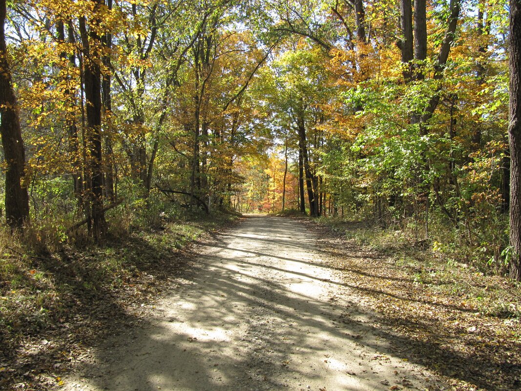 wilkins_mill_bridge_07