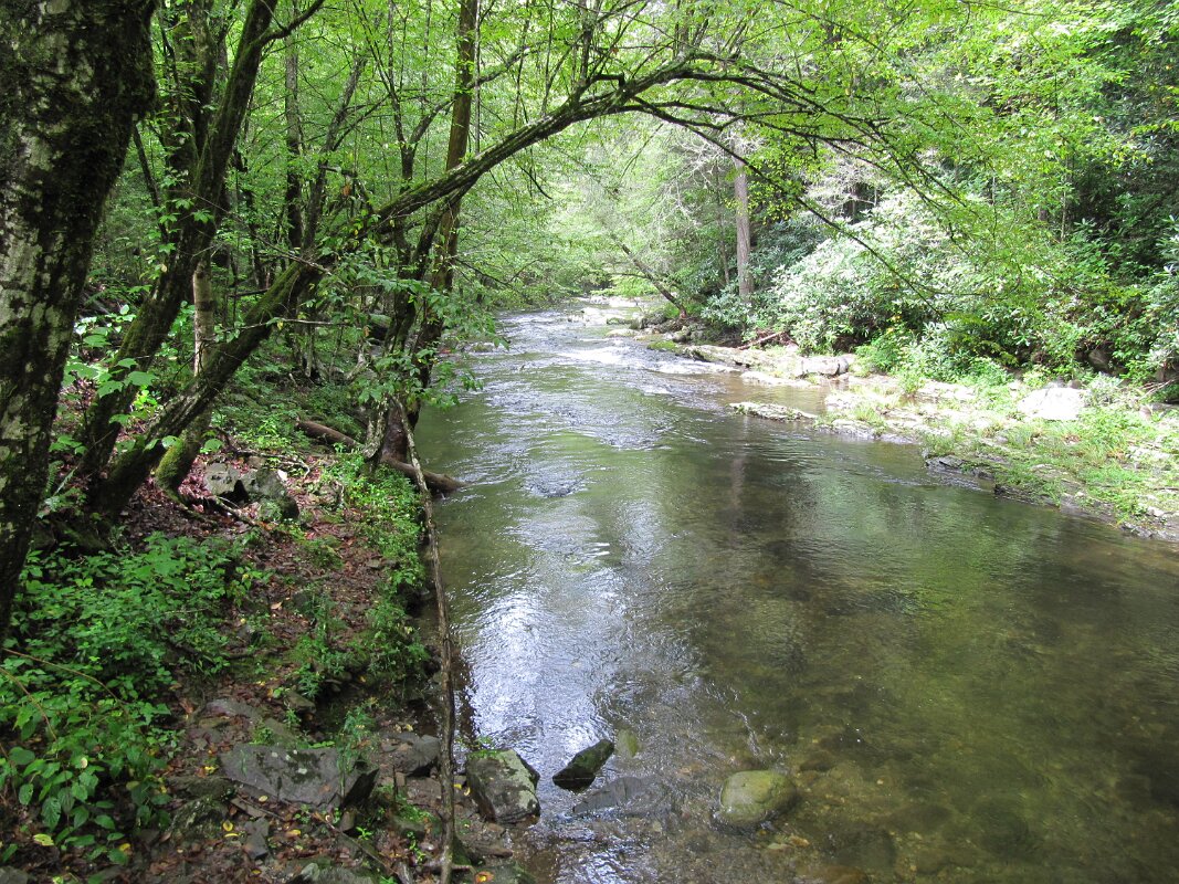 smoky_mtn_natl_park_tremont_road_02