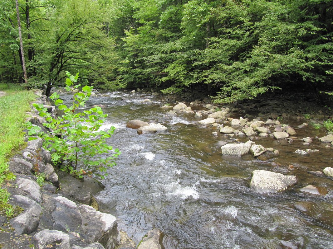 smoky_mtn_natl_park_tremont_road_06
