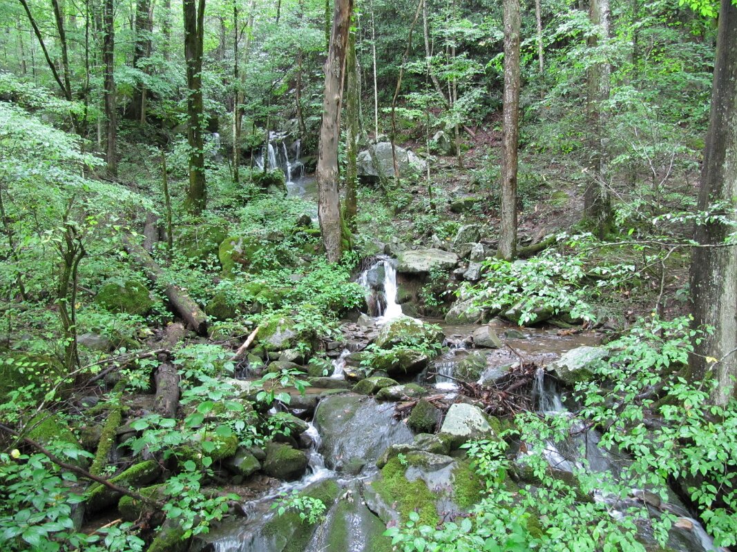 smoky_mtn_natl_park_tremont_road_07