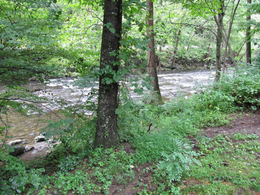 tremont_resort_site_038_07