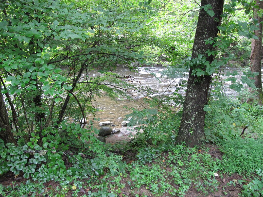 tremont_resort_site_038_08